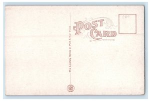 c1910 Chippewa Park Thunder Bay Port Arthur Ontario Canada Unposted Postcard