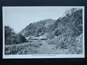 Cornwall BOSCASTLE Valency Valley (2) - Old RP Postcard by Overland Views
