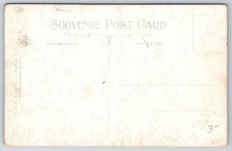 Lewiston New York~Niagara River Line Steamer Ship Nearing Dock~Vintage Postcard