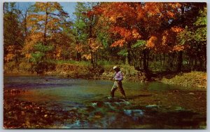 Vtg Greetings from Flint Michigan MI Man Fishing Autumn Leaves 1950s Postcard