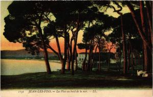 CPA JUAN-les-PINS - Les Pins au bord de la mer (514373)