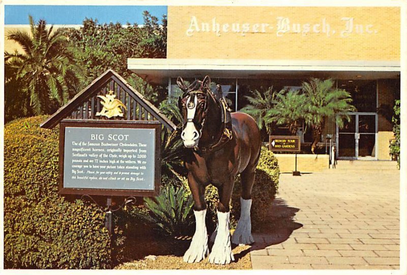 Anheuser-Busch Plant Horse Brewery Unused 