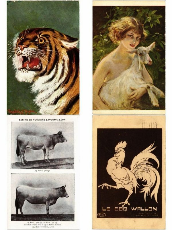 ANIMALS ANIMAUX MIX 300 CPA Pre - 1940