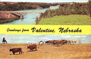 Postcard FARM SCENE Valentine Nebraska NE AJ3323