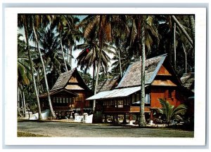 Malacca Malaysia Postcard Nipa Hut Coconut Trees c1950's Vintage Unposted