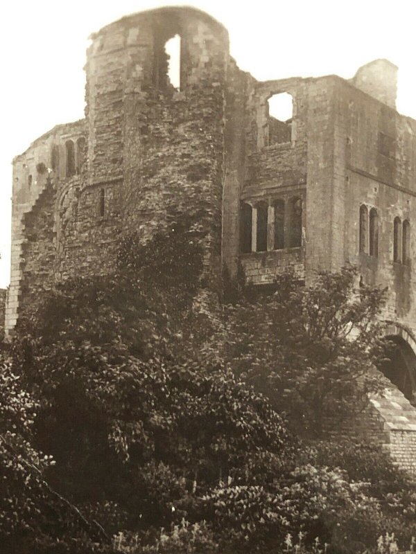 Castle Tower and Gardens Newark S3047 Vintage Postcard