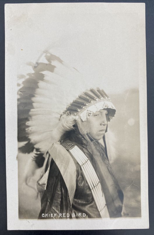 Mint USA RPPC Real Picture Postcard Native American Indian Chief Red Bird