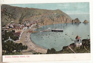 P3238 vintage postcard avalon, catalina island boats town harbor view calif