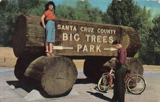 California San Cruz Entrance To Big Trees Park