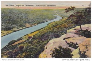 Tennessee Chattanooga The Grand Canyon Of Tennessee Albertype