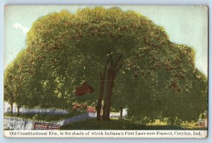 1910 Corydon Indiana IN Postcard Old Constitutional Elm Shade First Laws Framed