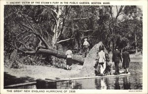 Boston Massachusetts MA Hurricane Ruins 1910s-30s Postcard