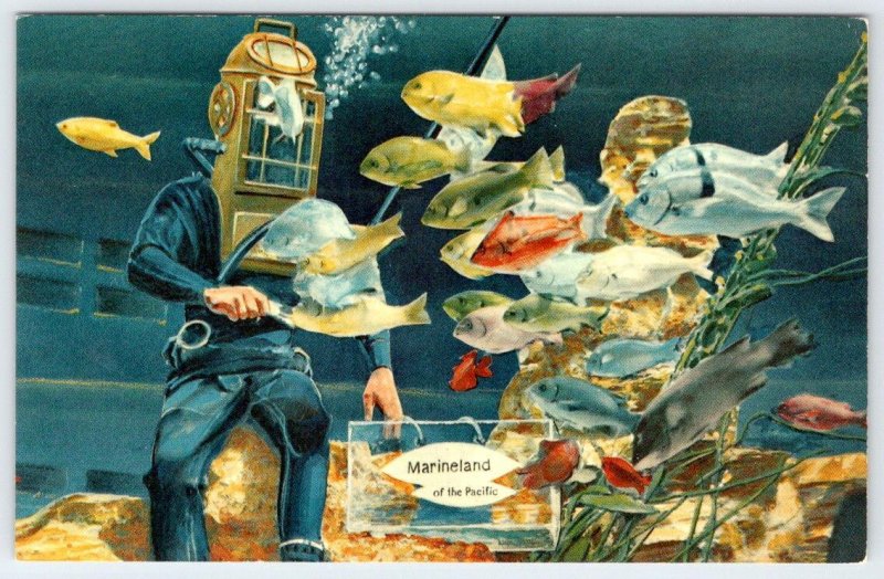 1960's MARINELAND OF THE PACIFIC FISH & DEEP-SEA DIVER VINTAGE CHROME POSTCARD 