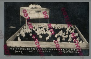 Lee Center ILLINOIS RPPC c1915 ADVERTISING Poultry OLD TRUSTY INCUBATOR Chickens