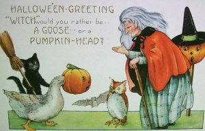 Vintage Halloween Postcard Whitney Gray Hair Witch Goose Owl Black Cat Original 