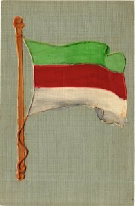 PC CPA ITALY, POLITIC PROPAGANDA, FLAG, Vintage Postcard (b17820)
