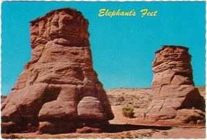 Elephant's Feet, Monument Valley, Arizona, Chrome Postcard