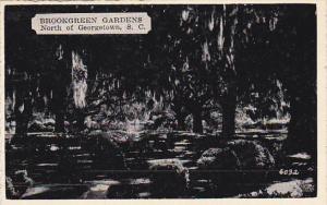 South Carolina Georgetown Brookgreen Gardens Dexter Press