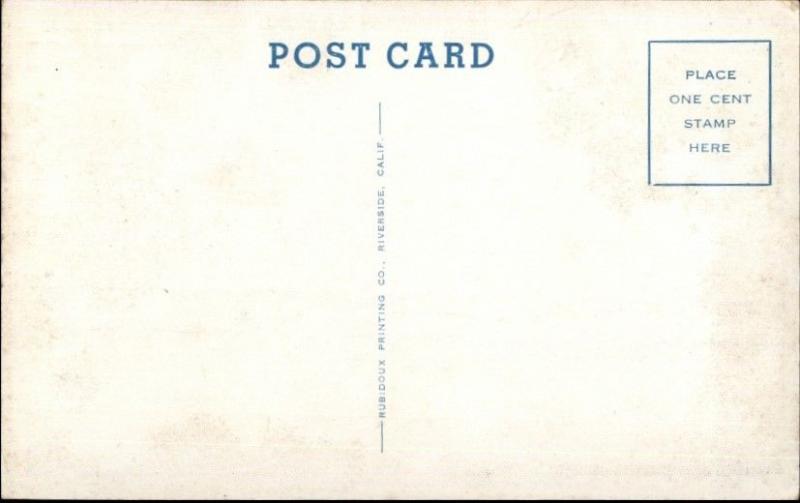 Arlington CA Magnolia Ave & Van Buren Postcard c1940s