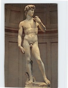 Postcard The Accademia Gallery, The David of Michelangelo, Florence, Italy