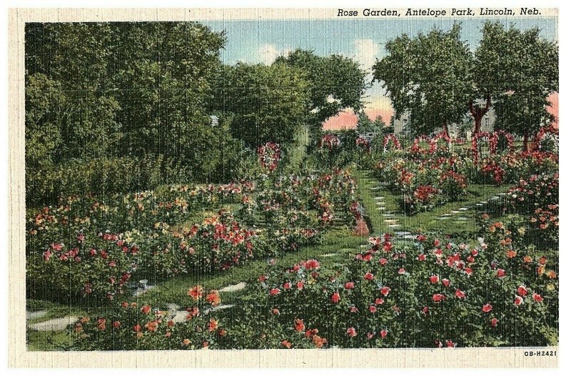 Rose Garden, Antelope Park, Lincoln Nebraska Linen Postcard Posted 1949