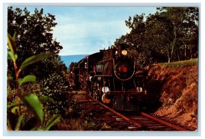 Crossing The Little Maiden Creek Locomotive Train Wanamaker Kempton Postcard