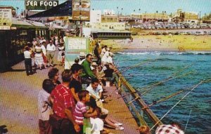 Fishing From The Pier Redondo Beach California