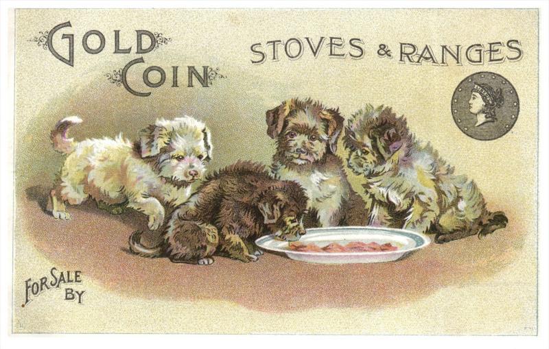 Gold Coin Stoves ,  Puppies eating from dish ,   Trade Card