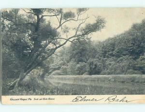 Pre-1907 NATURE SCENE Valley Forge - Philadelphia Pennsylvania PA A1461