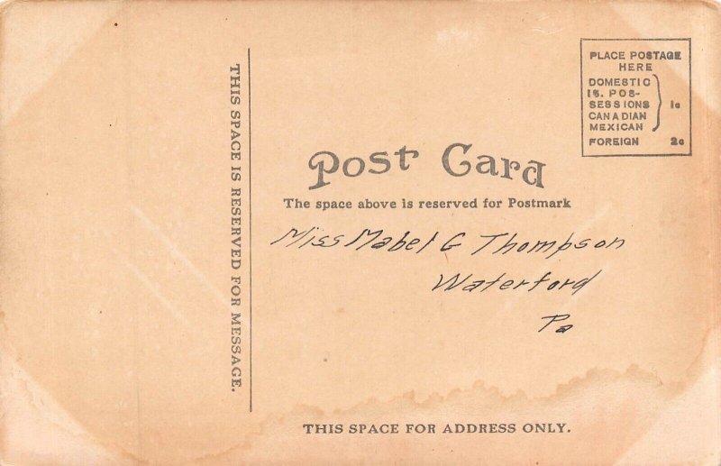 MADISON WISCONSIN~BIRD'S EYE VIEW PICNIC POINT-1900s POSTCARD