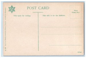 c1910s Scenic View Of Black Lake Adams County Idaho ID Unposted Vintage Postcard