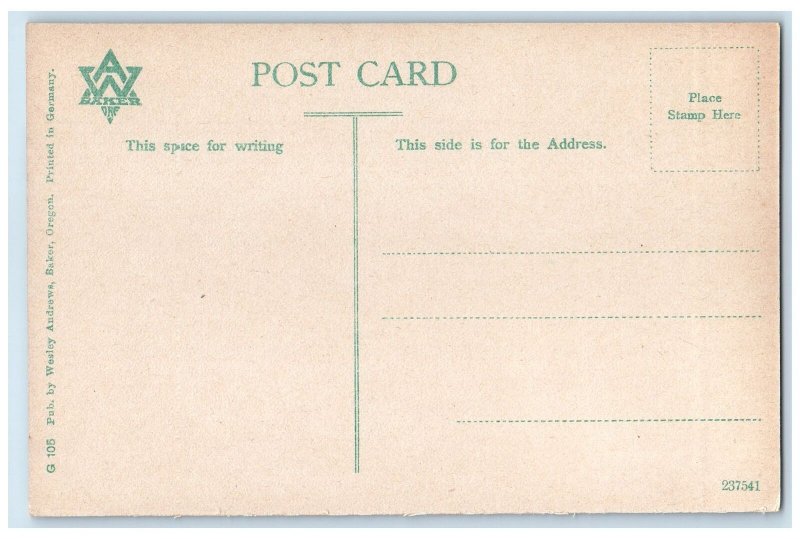 c1910s Scenic View Of Black Lake Adams County Idaho ID Unposted Vintage Postcard