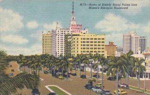 Florida Miami M75 Rows Of Stately Royal Palms Line Miamis Biscayne Boulevard ...