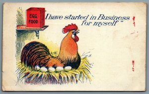 Postcard c1905 I Have Started in Business for Myself Chicken Nesting Eggs