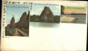 Columbia River OR Multi-View c1905 Postcard