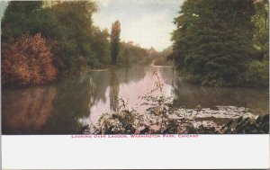 USA Looking Over Lagoon Washington Park Chicago Illinois Postcard 09.43