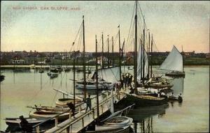 Oak Bluffs Martha's Vineyard MA New Harbor c1910 Postcard #2