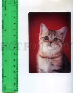 474576 RUSSIA 2021 year cute kitten lenticular 3D Pocket CALENDAR