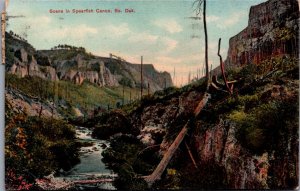 Scene in Spearfish Canyon South Dakota Vintage Postcard C364