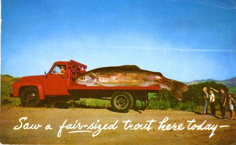 Saw a fair-sized trout here today.  Exaggerated Fish Red Truck Photo ~ Postcard 