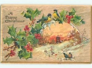 Divided-Back BIRDS SCENE Pretty Postcard AA8883