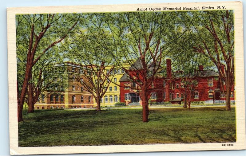 *Arnot Ogden Memorial Hospital Elmira NY New York Vintage Postcard C43
