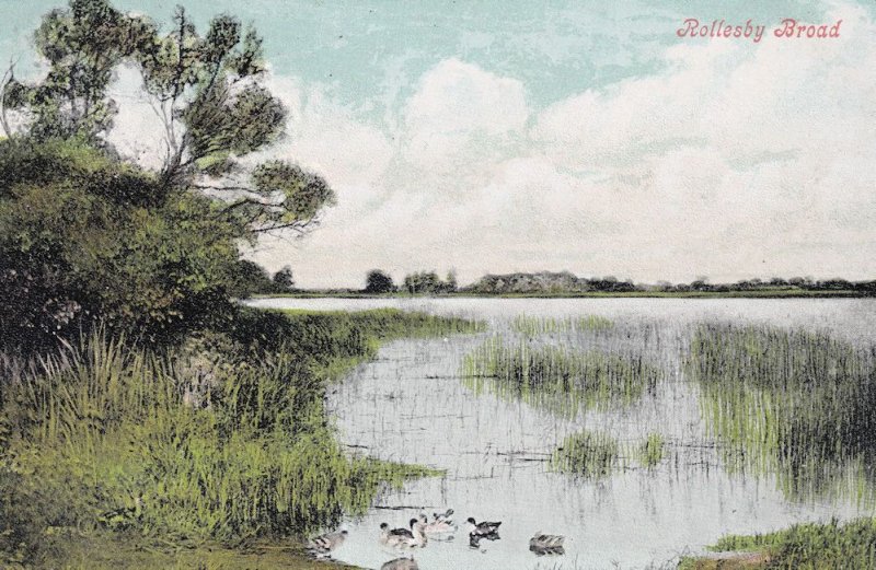 Rollesby Broad Norfolk Broads Old Postcard