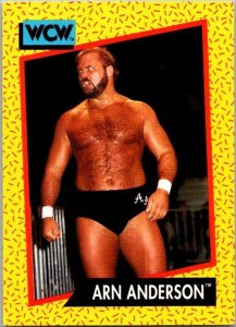 1991 WCW Wrestling Card Arn Anderson sk21234