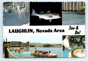 See & Do Points of Interest Laughlin NV Postcard
