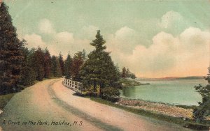 Halifax Nova Scotia Canada~A Drive in the Park~1907 W.G. Macfarlane Postcard