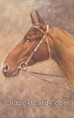 Artist George Rankin Horse Unused 