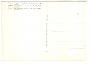 Real Photo, Sculpture, David, Michelangelo, Gallery of Florence, Italy