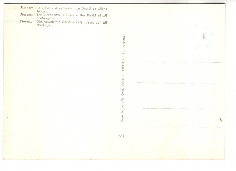 Real Photo, Sculpture, David, Michelangelo, Gallery of Florence, Italy