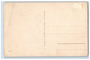 Rhineland-Palatinate Germany Postcard Air Spa Daun c1910 Antique Unposted